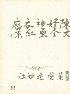 麻衣神婿陈黄皮,叶红鱼全文免费txt下载