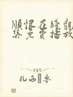 顺恨在线观看全集免费播放