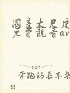 国产大尺度在线免费观看av