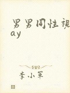 男男同性视频gay封面