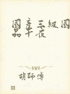 国产三级国产精品午夜