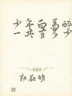 少年白马醉春风一共有多少集