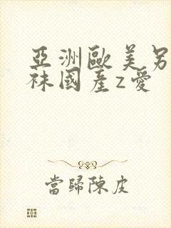 亚洲欧美另类丝袜国产z爱封面