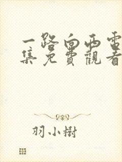 一路向西电影全集免费观看高清封面