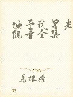 他予我星光免费观看全集封面