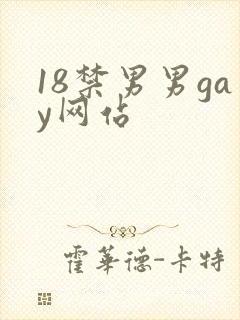18禁男男gay网站