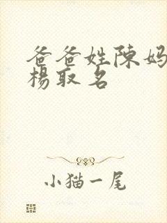 爸爸姓陈妈妈姓杨取名