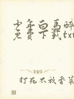 少年白马醉春风免费下载txt