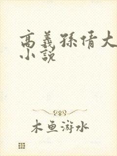 高义孙倩大团结小说