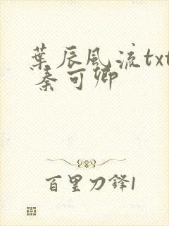 叶辰风流txt 秦可卿