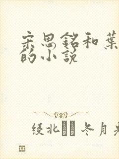 宋思铭和叶如云的小说