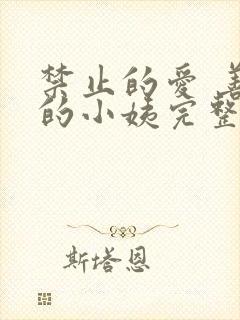 禁止的爱 善良的小姨完整版