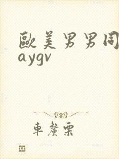 欧美男男同性gaygv