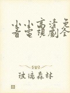 小小高清免费观看电视剧全集