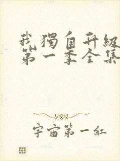 我独自升级动漫第一季全集免费观看封面