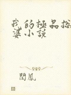 我的极品总裁老婆小说