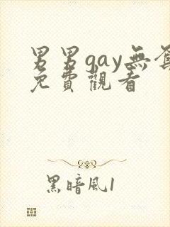 男男gay无套免费观看