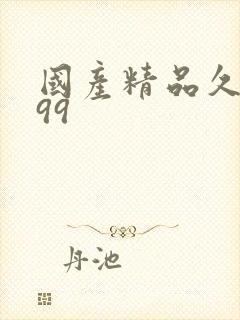 国产精品久久久99