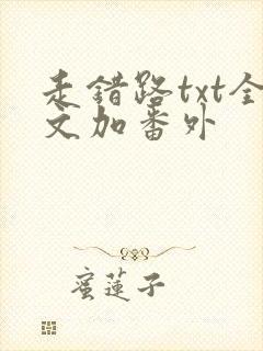 走错路txt全文加番外