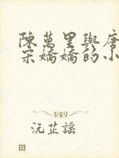 陈万里与唐嫣然宋娇娇的小说叫什么