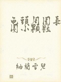 龟头周围长了一圈小颗粒