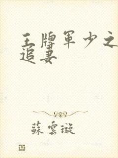 王牌军少之特战追妻封面