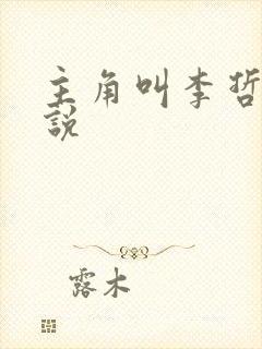 主角叫李哲的小说