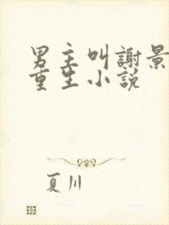 男主叫谢景行的重生小说