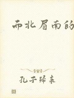 面北眉南的小说封面