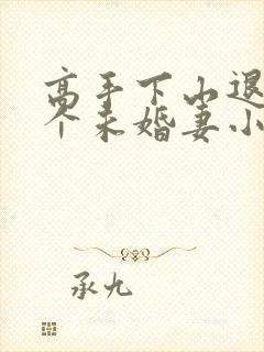 高手下山退婚九个未婚妻小说阅读