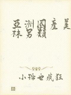 亚洲国产美腿丝袜另类