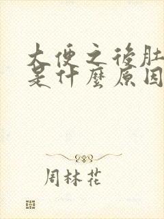 大便之后肚子疼是什么原因封面