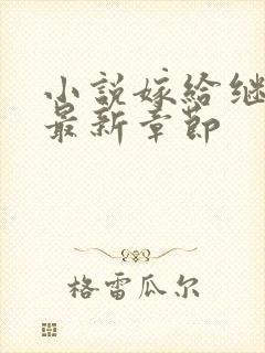 小说嫁给继兄后最新章节