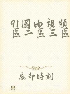 91国内视频一区二区三区