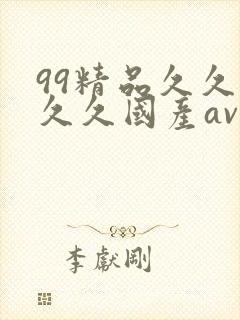 99精品久久久久久国产av