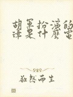 胡军扮演的朱元璋是什么电视剧