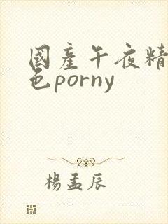 国产午夜精品九色porny