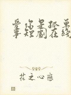 爱你是孤单的心事短剧在线观看