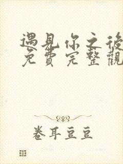 遇见你之后电影免费完整观看高清