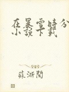 在暴雪时分原著小说下载