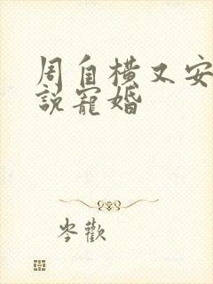周自横又安的小说宠婚
