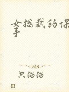 女总裁的保镖高手