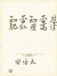 知否知否应是绿肥红瘦高清免费完整版封面