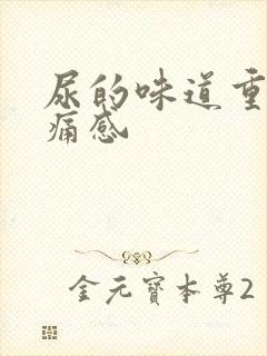 尿的味道重有刺痛感