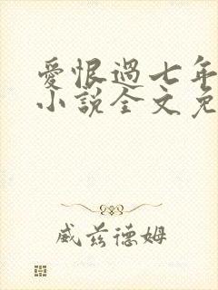 爱恨过七年原著小说全文免费阅读封面