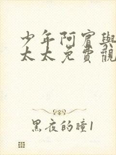 少年阿宾与房东太太免费观看封面