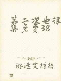 第二次也很美全集免费38封面