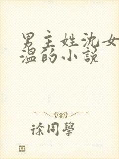 男主姓沈女主姓温的小说