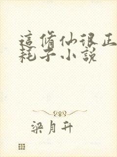 这修仙很正经小耗子小说