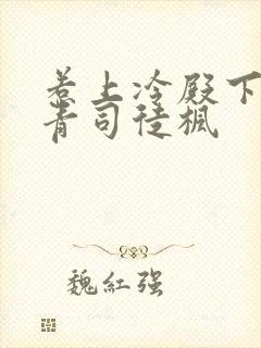 惹上冷殿下陈青青司徒枫